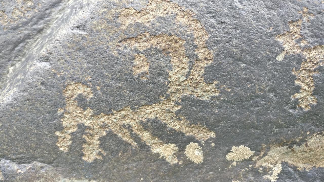 Gemoor Khar- Manor House Panzió Jispa Kültér fotó